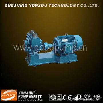 Ycb en acier inoxydable Double Jacket Heat Perservation Rotor Pump